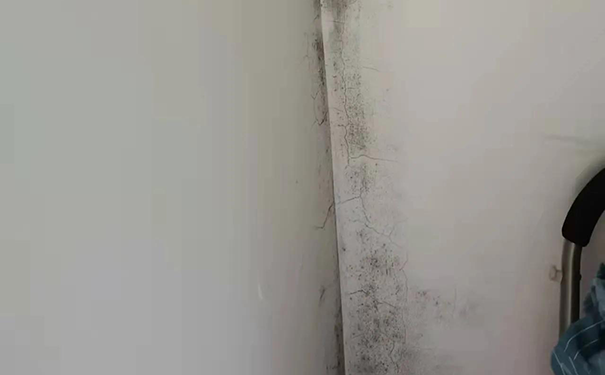 内墙面渗水怎样处置最好?